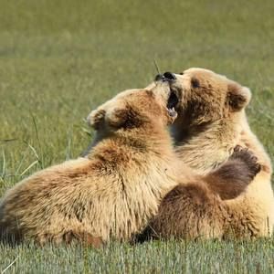 Meet your Posher, Anita